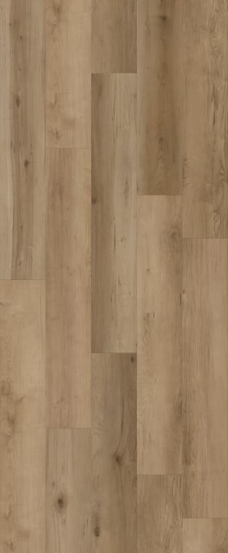 LI-CH14 - Lions Floor - Comfort Heights - Maple Gardens