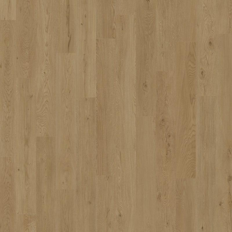 D2021-6009 - Engineered Floors PureGrain High-Def - Nurture - Renew