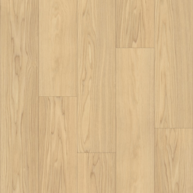 P1057-D1395 - TRUCOR Pro - Bravo - Smooth Ash