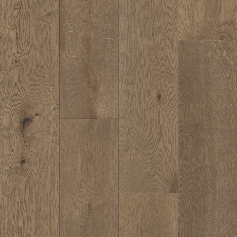 FO901-19639 - Fabrica - Chateau - Landes Oak