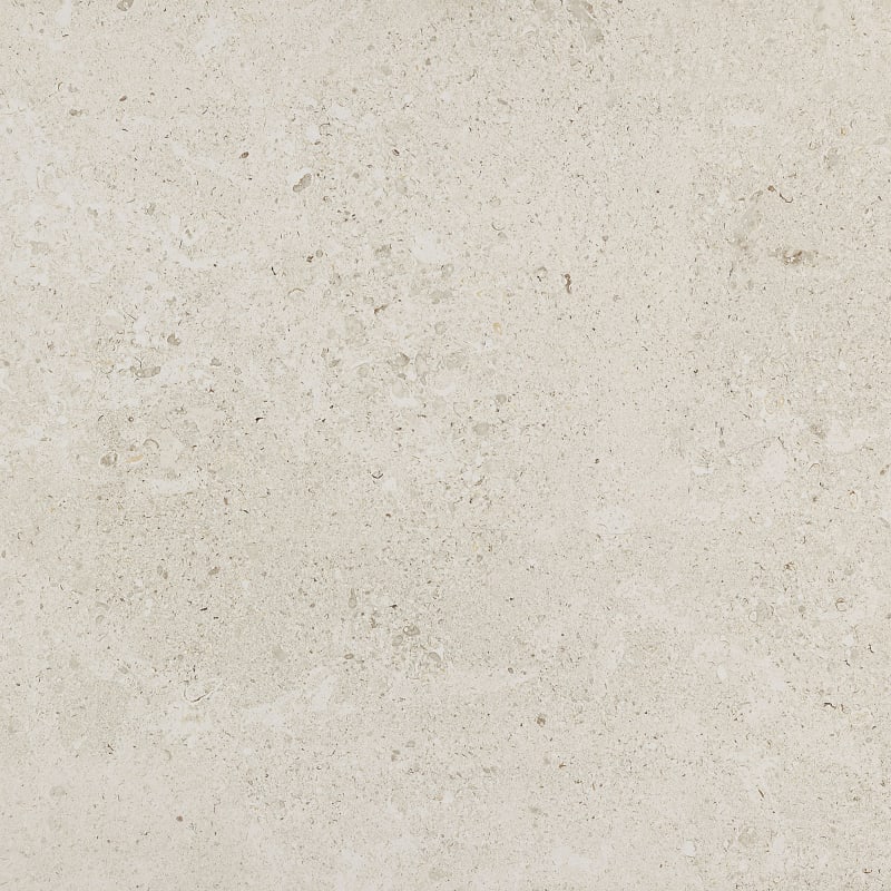 DR0724241PK - Daltile Stone Attaché - Dignitary - Luminary White - 24 X 24