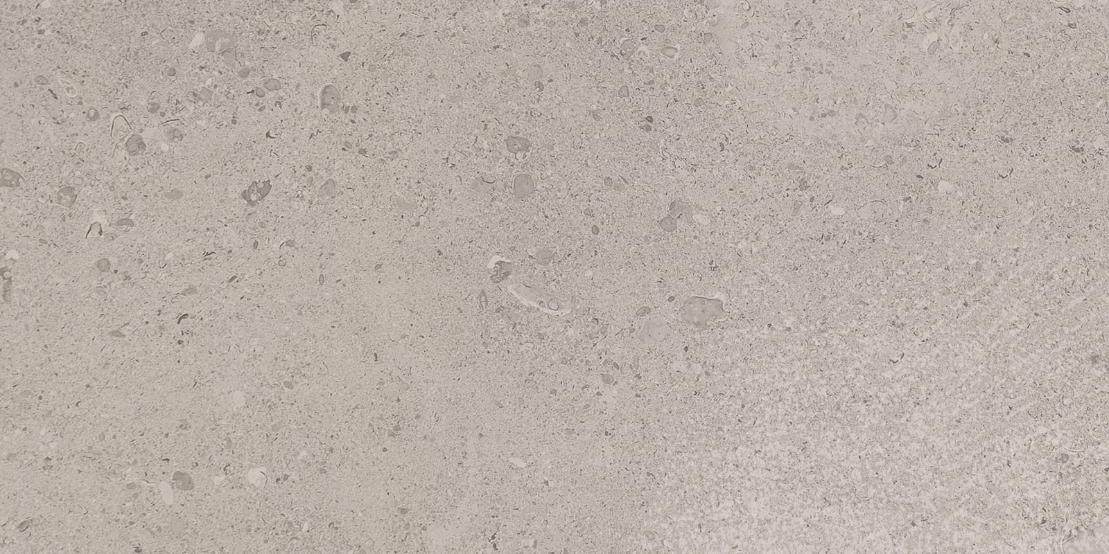 DR0824481P - Daltile Stone Attaché - Dignitary - Superior Taupe - 24 X 48