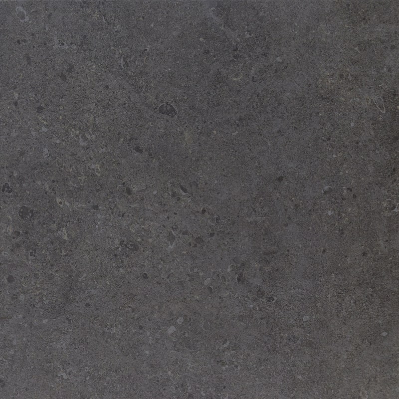 DR1124241PK - Daltile Stone Attaché - Dignitary - Governor Black - 24 X 24