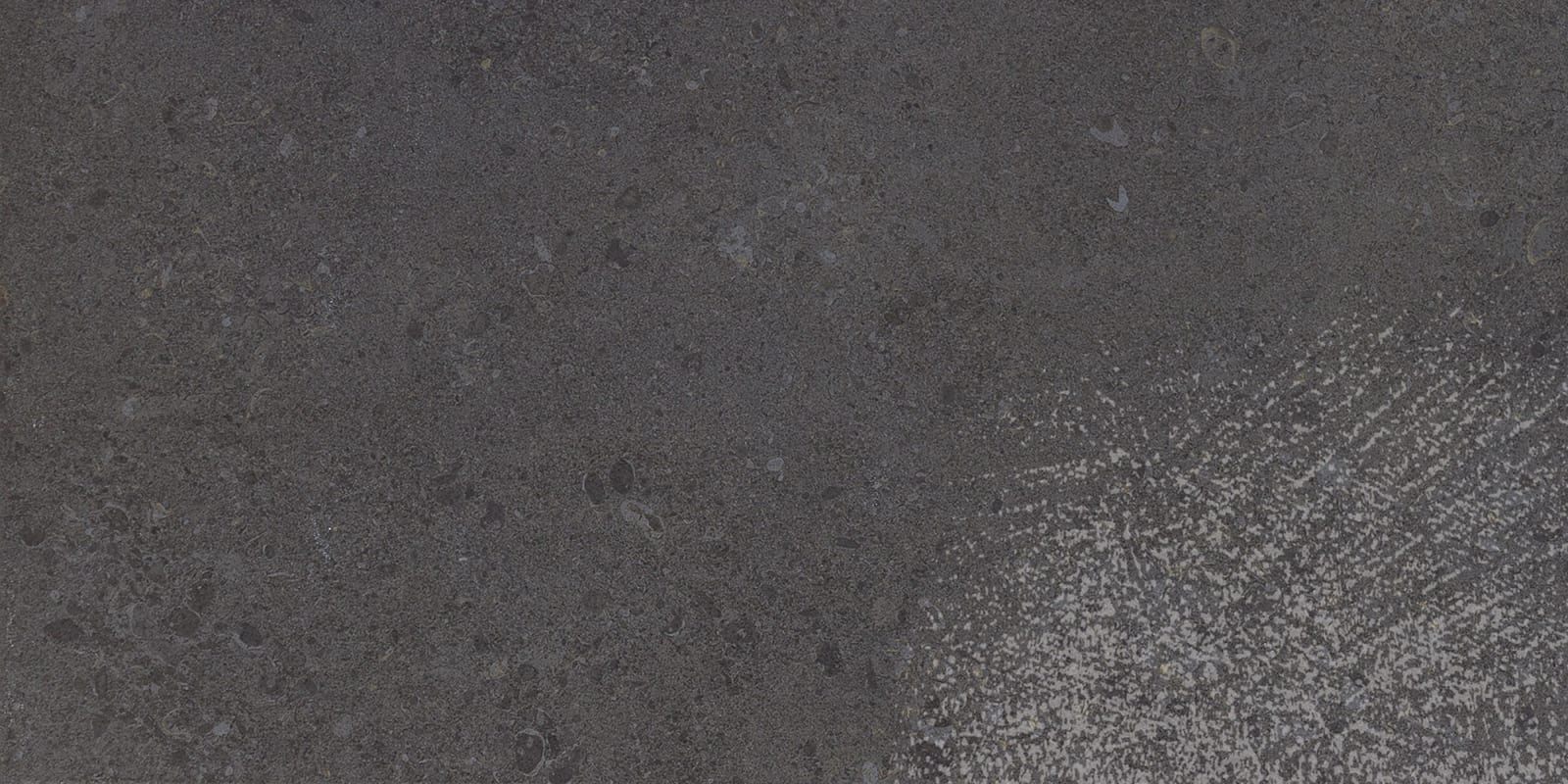 DR1124481P - Daltile Stone Attaché - Dignitary - Governor Black - 24 X 48
