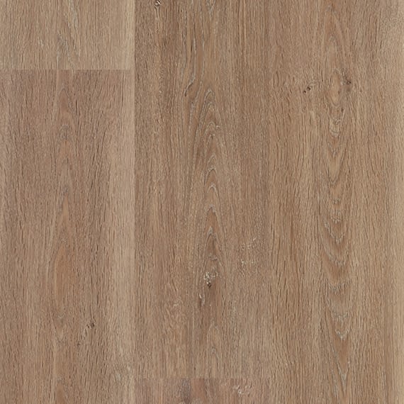 PT65748G8ML2M - Daltile ProSeries - Pines Terrace 2.0mm 8 mil - Ginger
