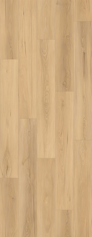 LI-HH04 - Lions Floor - Haven Heights - Oakview Place