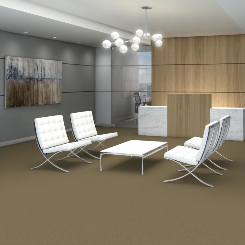 54462_62302 - Philadelphia Contract - Color Accents - Herbal