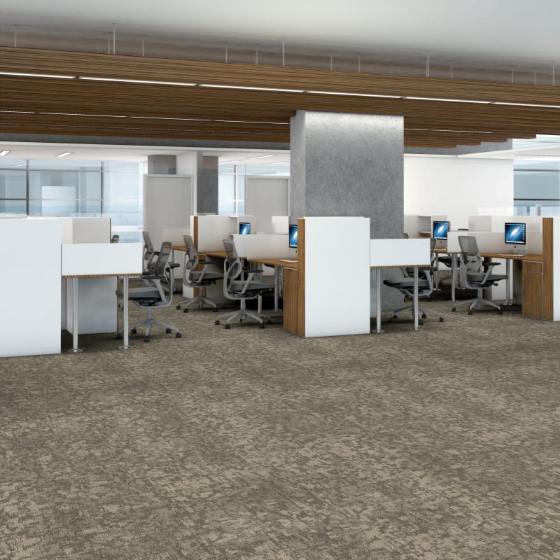 54848_00200 - Philadelphia Contract - Modern Terrain - Arid - Butte