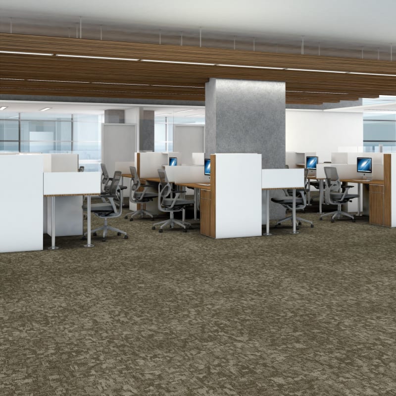 54848_00710 - Philadelphia Contract - Modern Terrain - Arid - Salt Flat