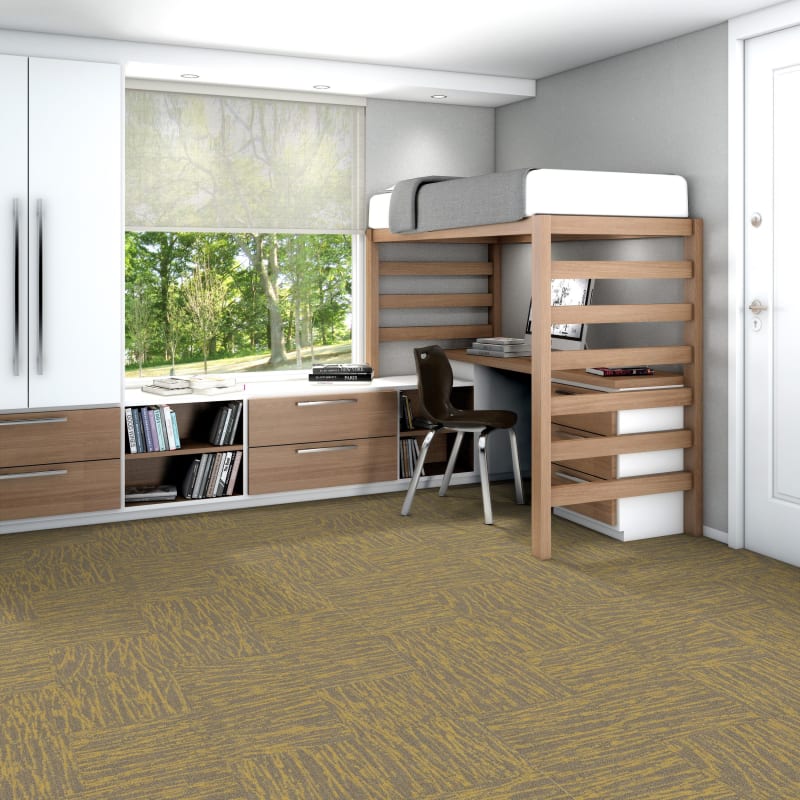 54849_00220 - Philadelphia Contract - Modern Terrain - Tidewater - Monadnock