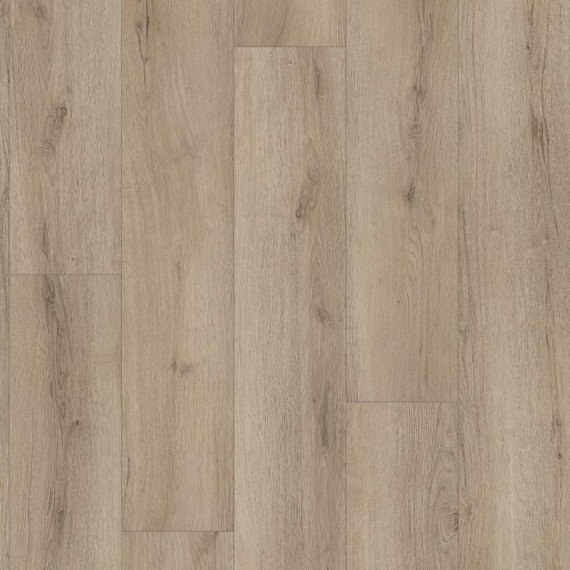 2896V_01191 - Shaw Luxury Vinyl Glue Down - Homeward - Cashmere Grey
