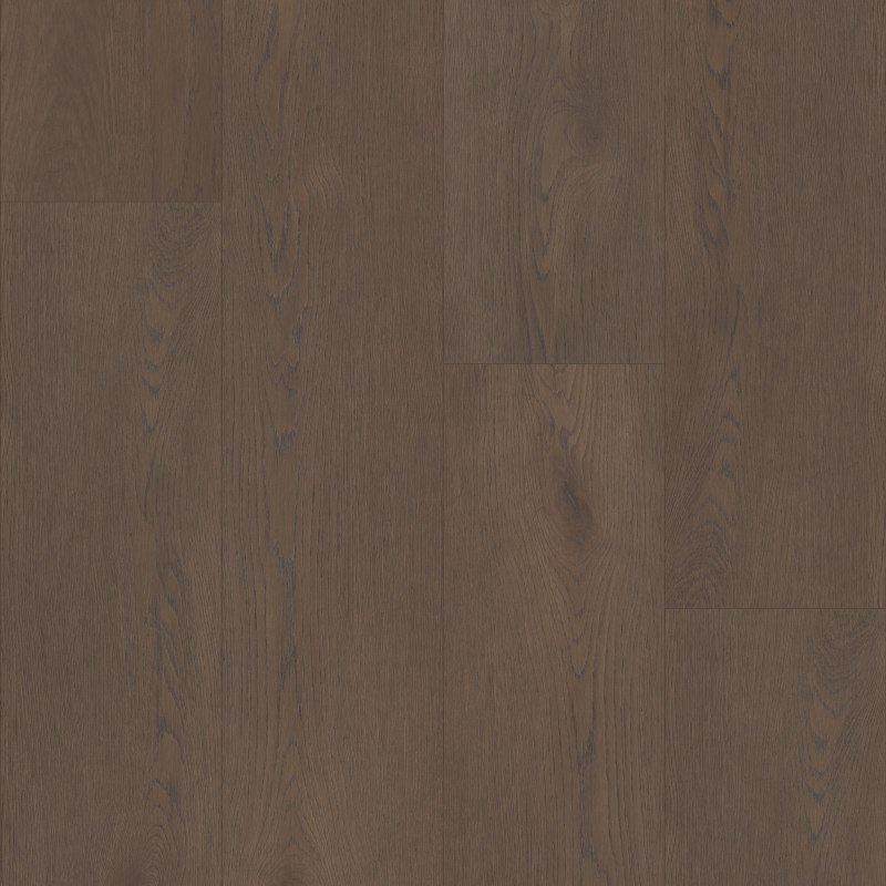 2896V_07333 - Shaw Luxury Vinyl Glue Down - Homeward - Midnight Mocha