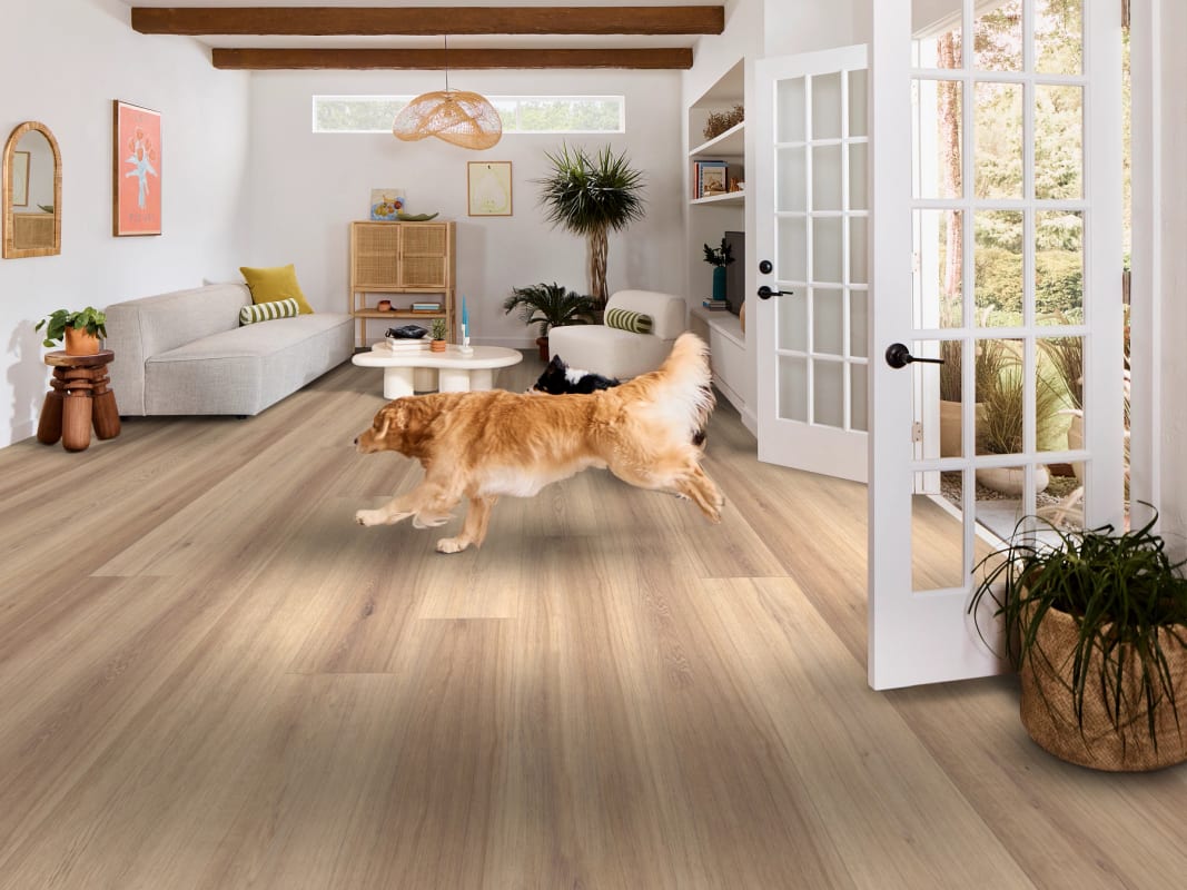 02154_3128V - Shaw Pet Perfect - Briard - Flax Oak