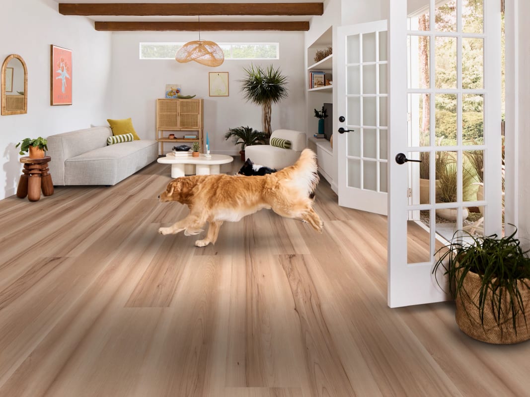07389_3128V - Shaw Pet Perfect - Briard - Ecru Maple