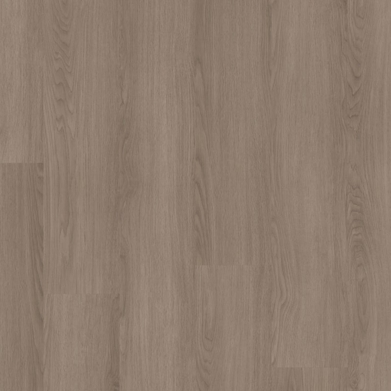 02130-3553V - Shaw - Pathways 12 - Timber
