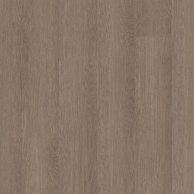 07355-3553V - Shaw - Pathways 12 - Dune