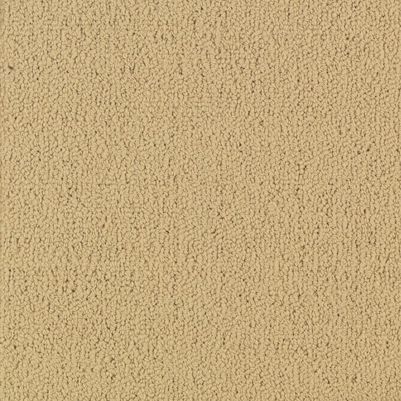 54462_62122 - Philadelphia Contract - Color Accents - Flax