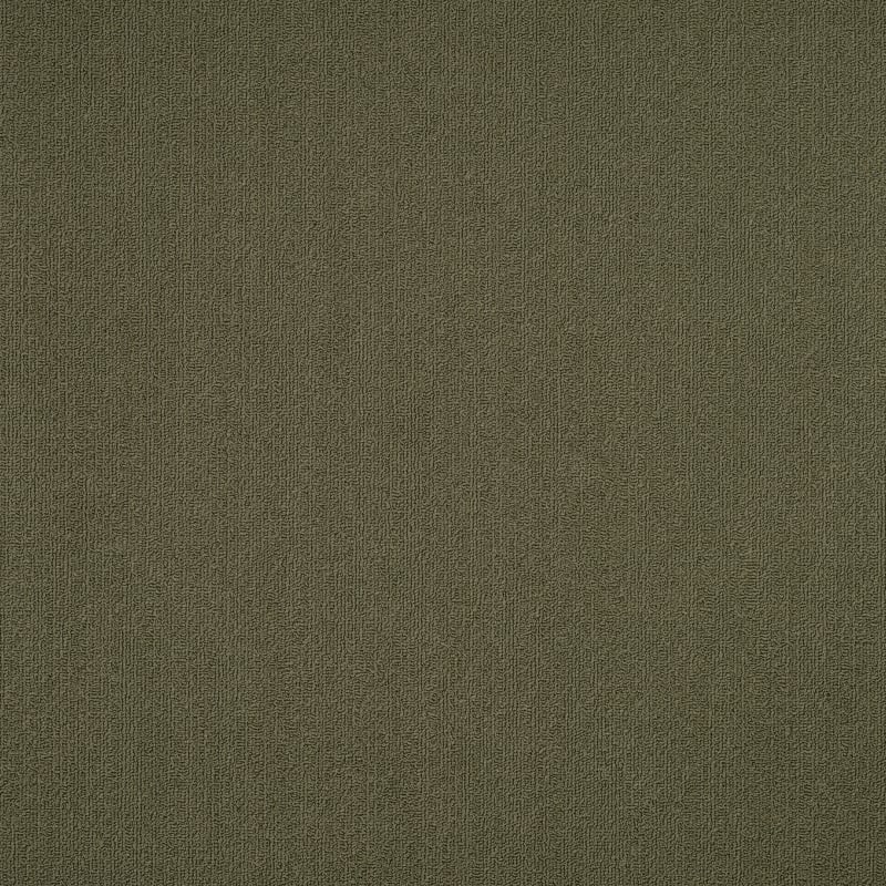 54462_62335 - Philadelphia Contract - Color Accents - Ivy
