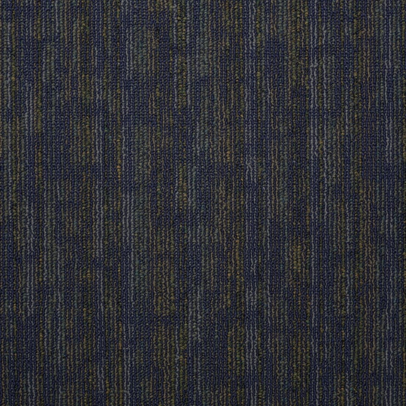 54491_91490 swatch