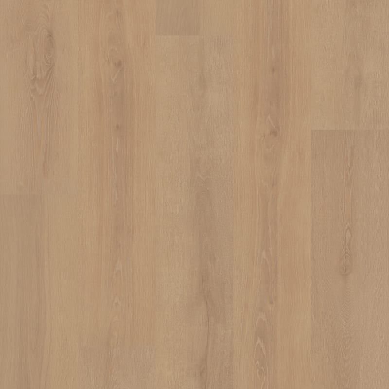 SL123_07755 - Shaw Pet Perfect - Komondor - Sequoia Brown