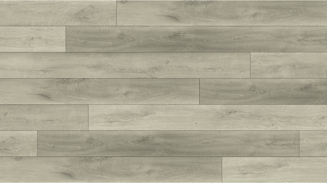BB-VII - Lions Floor - Bambino SPC - Rivoli