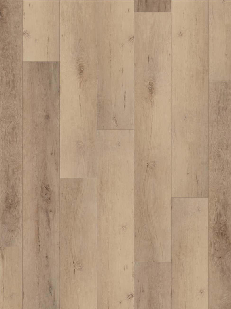 VV491-02956-sample - Sample: COREtec Pro - Enhanced 9" - Cairo Oak