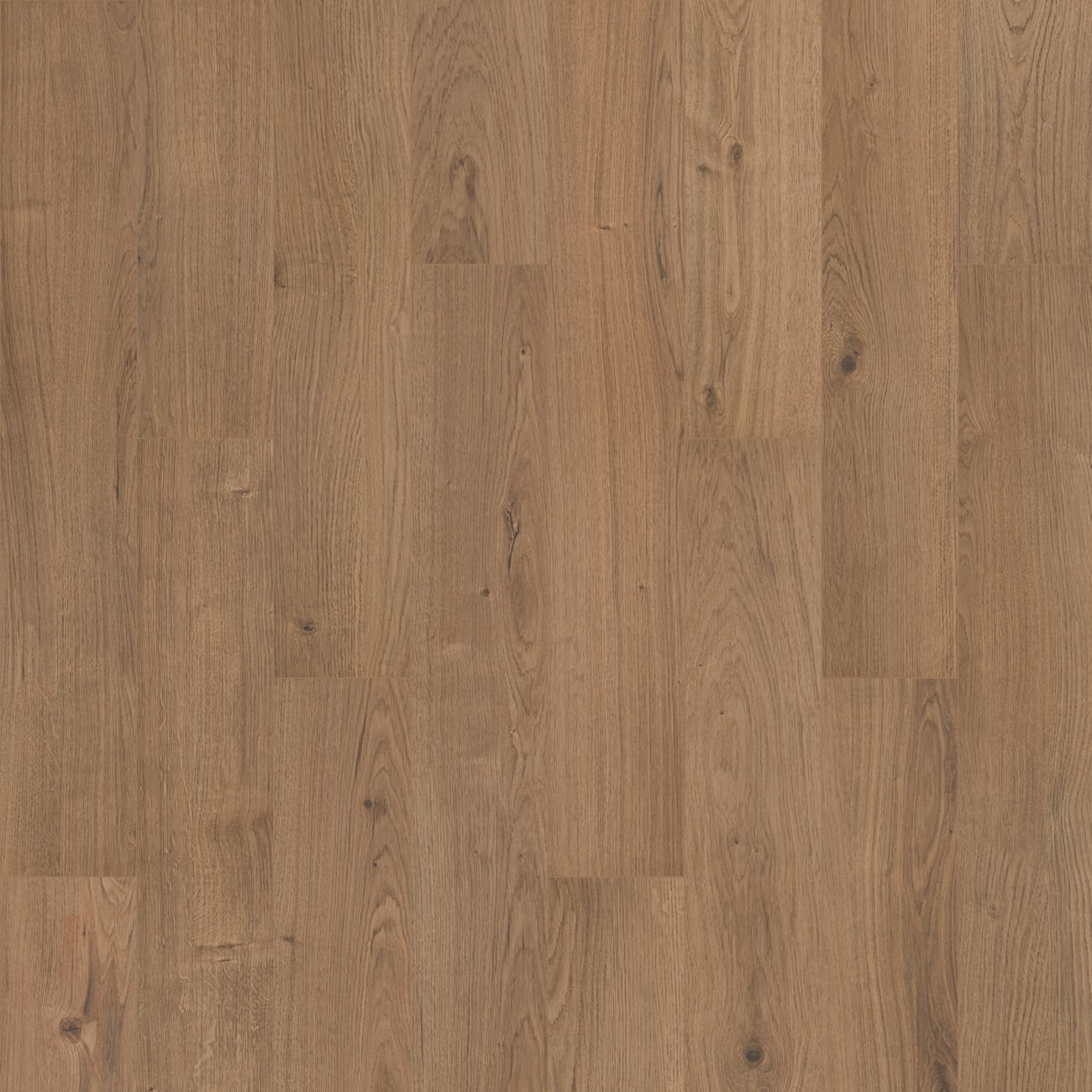 Mohawk Solidtech R Select - Ashland Crest - Fern | SDS13-842