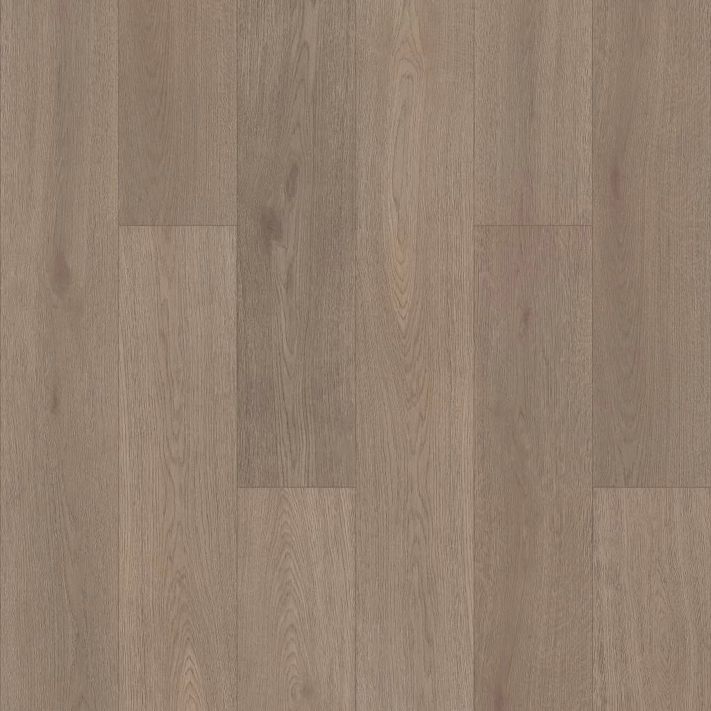 05103-3340V - Shaw Pet Perfect - Cattitude - Lagom