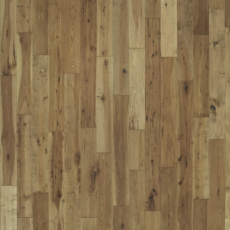 TRP07GLD1 - Mannington Maison Collection - Triumph - Gold