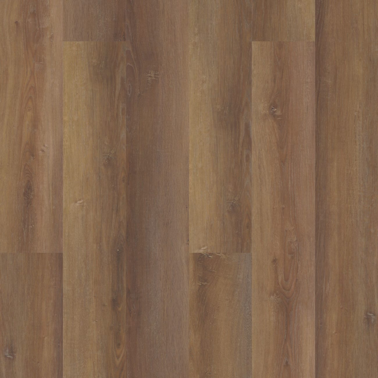 COREtec - Coretec Pro Plus XL - Sofia Oak | VV490-01654