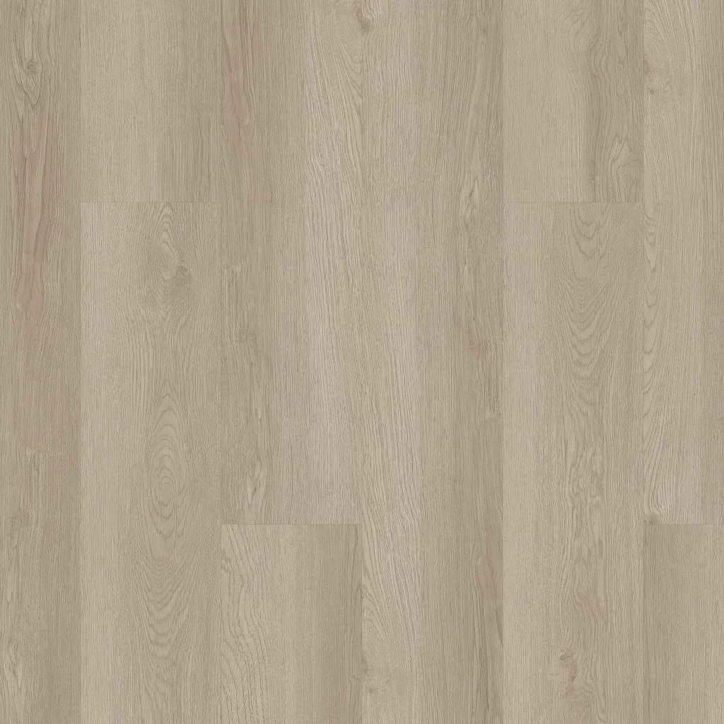 02029-3365V - Shaw - Infinite LL - Pampas