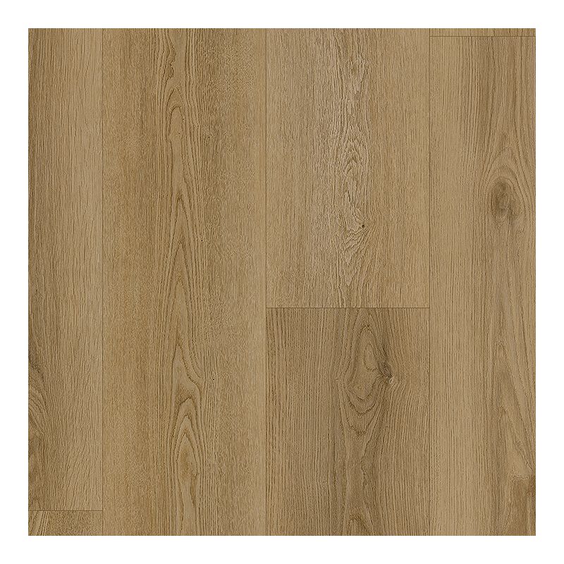 PT016-841 - Pergo Extreme Preferred - Hamilton Grove - Athena