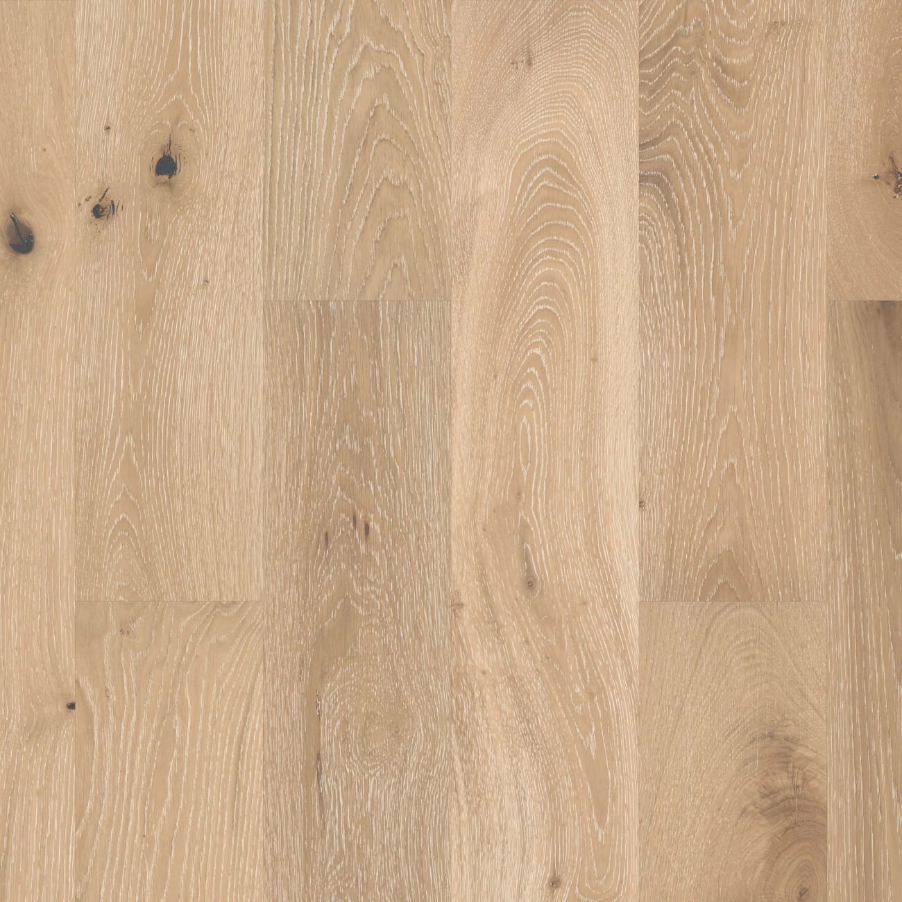SW485-00146 - Shaw - Castlewood Oak - Tapestry