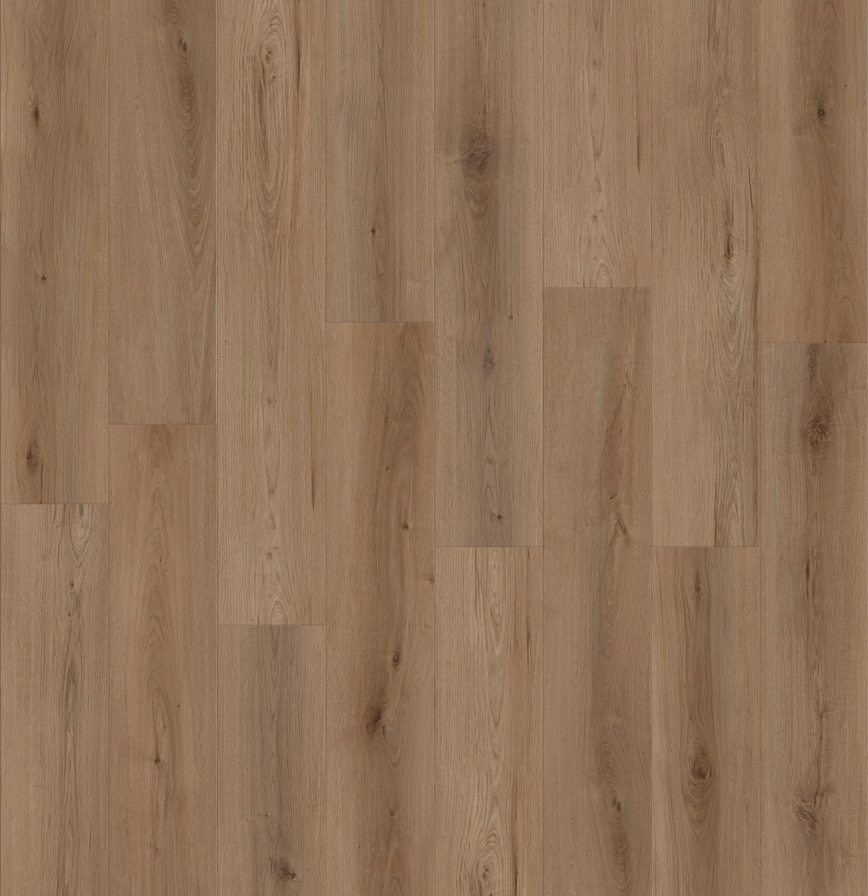 イプ　ナチュラル Lions Floor - Canyon Coast WPC - Alpine Ambiance | LI-CC02