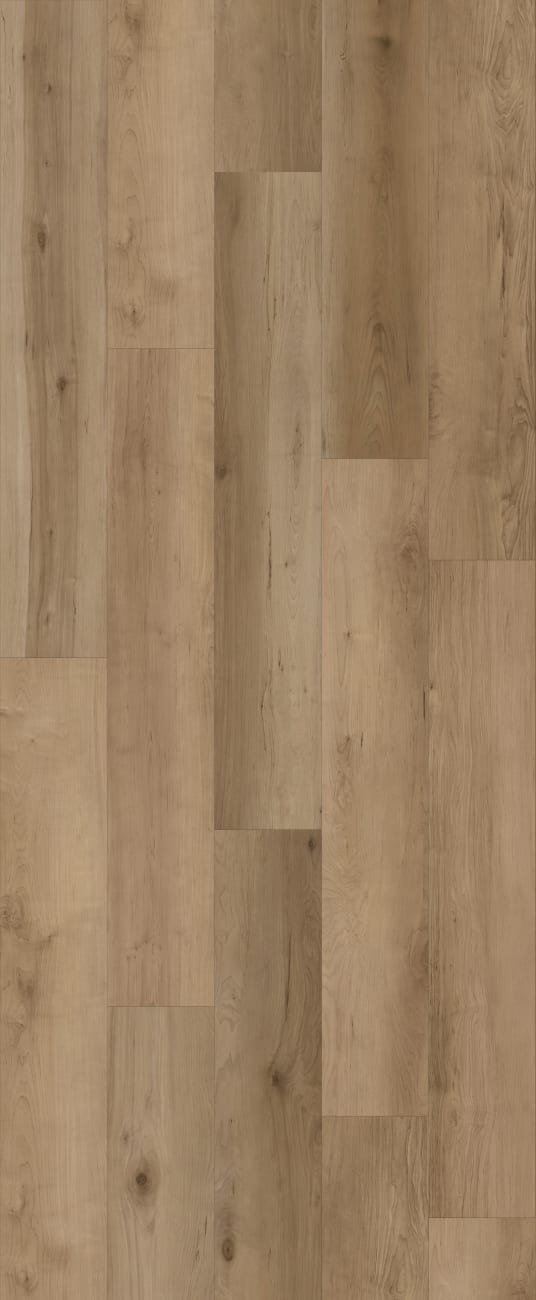 Lions Floor - Comfort Heights - Maple Gardens | LI-CH14