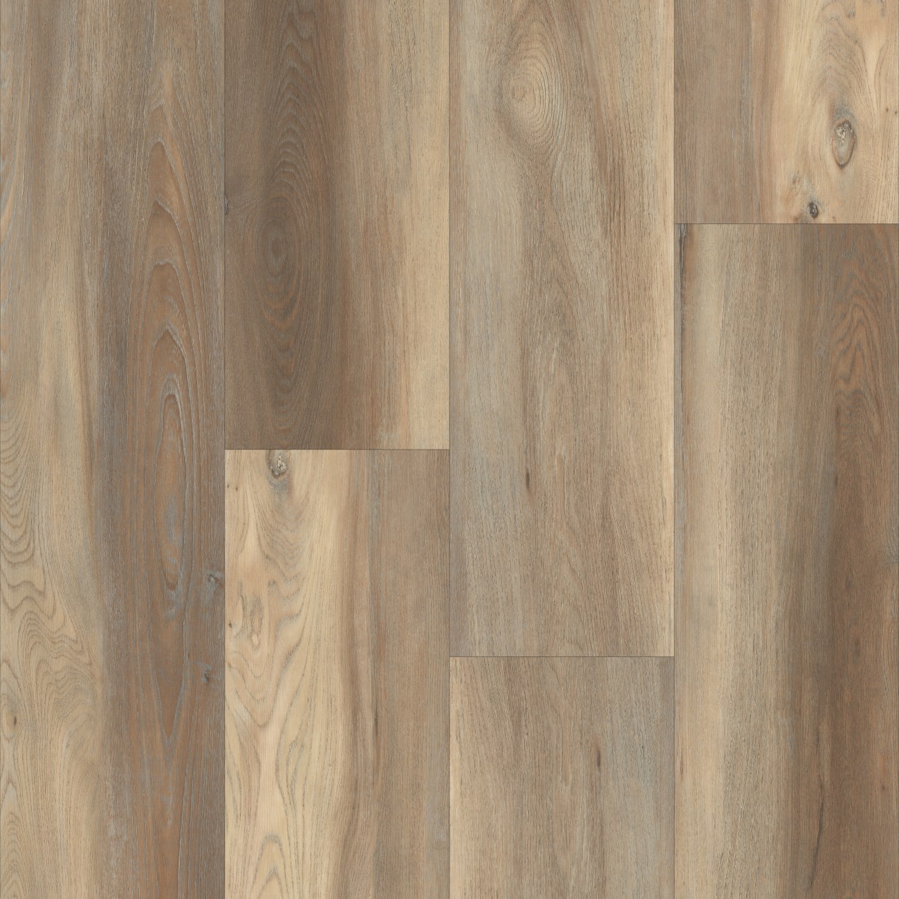 P2254-M1509 - TRUCOR - Select - Katahdin Oak