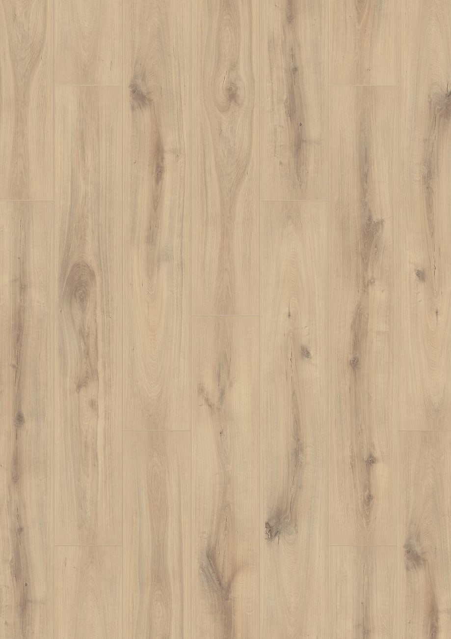MGBF2580 - Muller Graff - Black Forest - Dusky Cypress