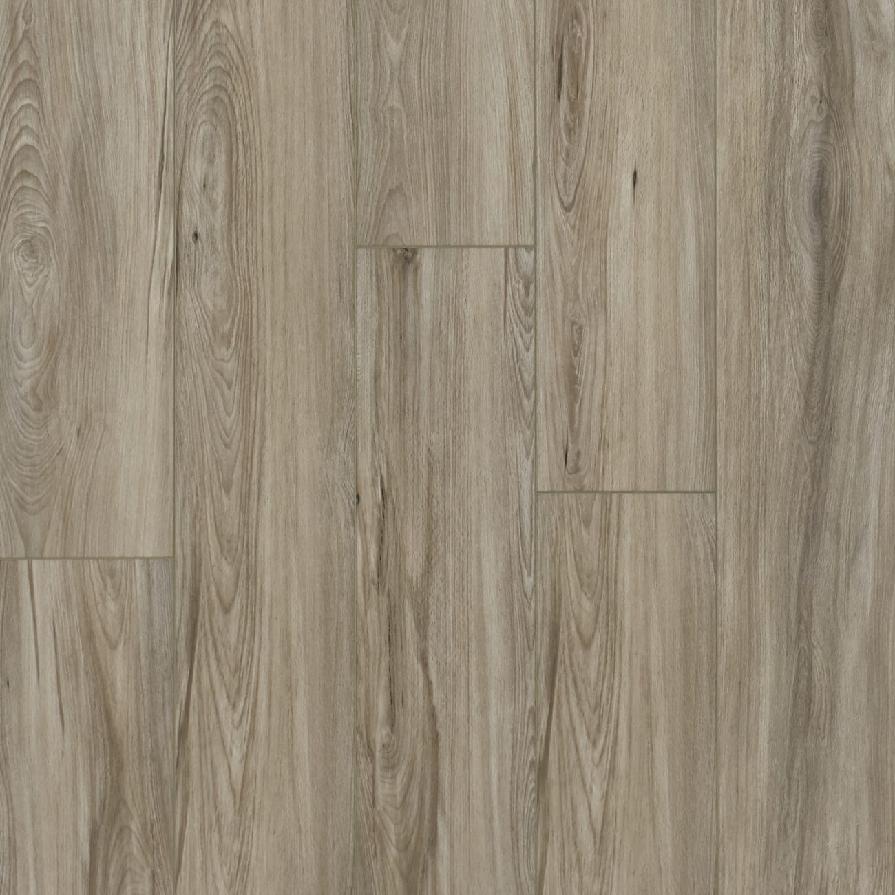 APP106 - Mannington - ADURA PRO Looselay - Oasis Mist