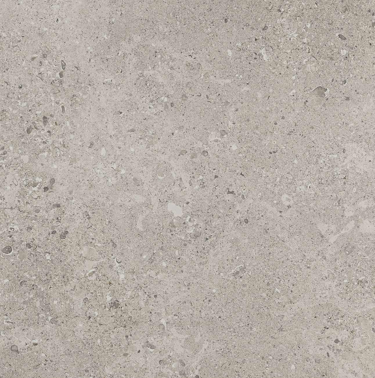 DR0824241PK - Daltile Stone Attaché - Dignitary - Superior Taupe - 24 X 24