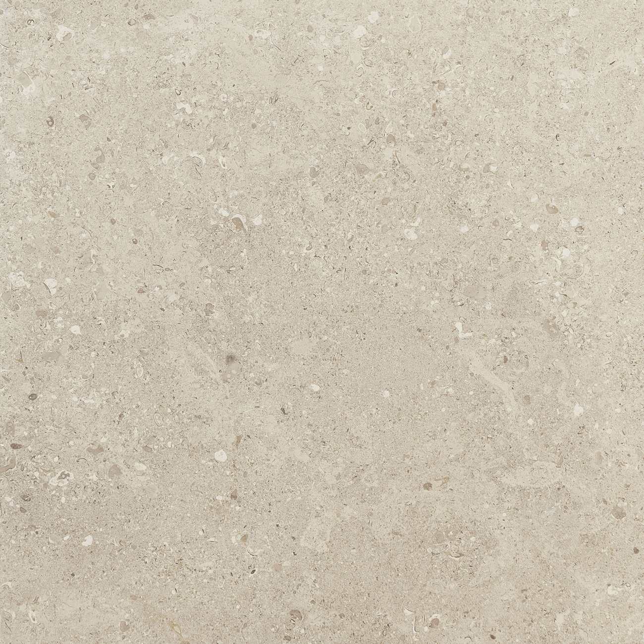 DR09XTP2424TX - Daltile Xteriors - Dignitary - Notable Beige - 24 X 24 - Xterior Paver - Textured