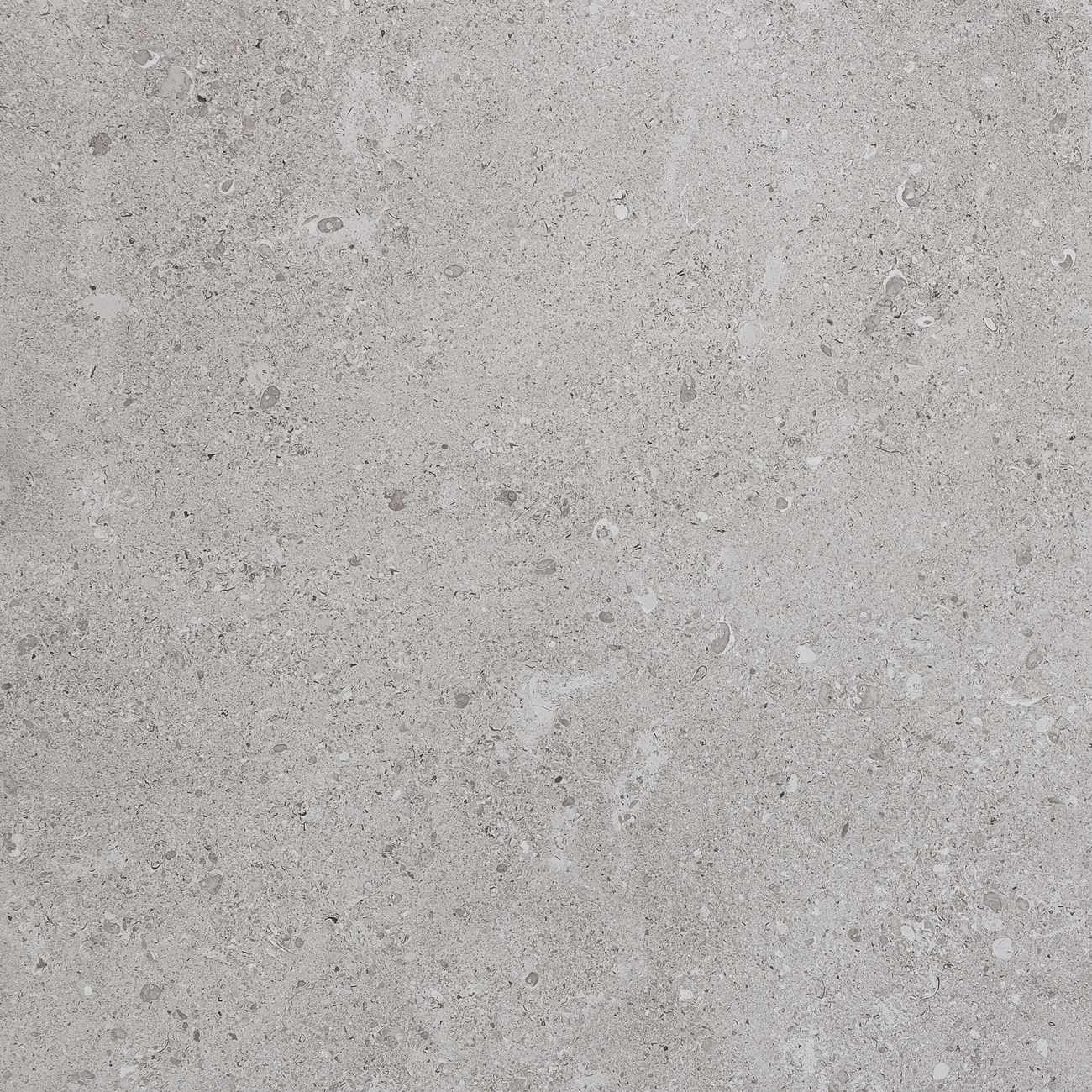 DR1024241PK - Daltile Stone Attaché - Dignitary - Eminence Grey - 24 X 24