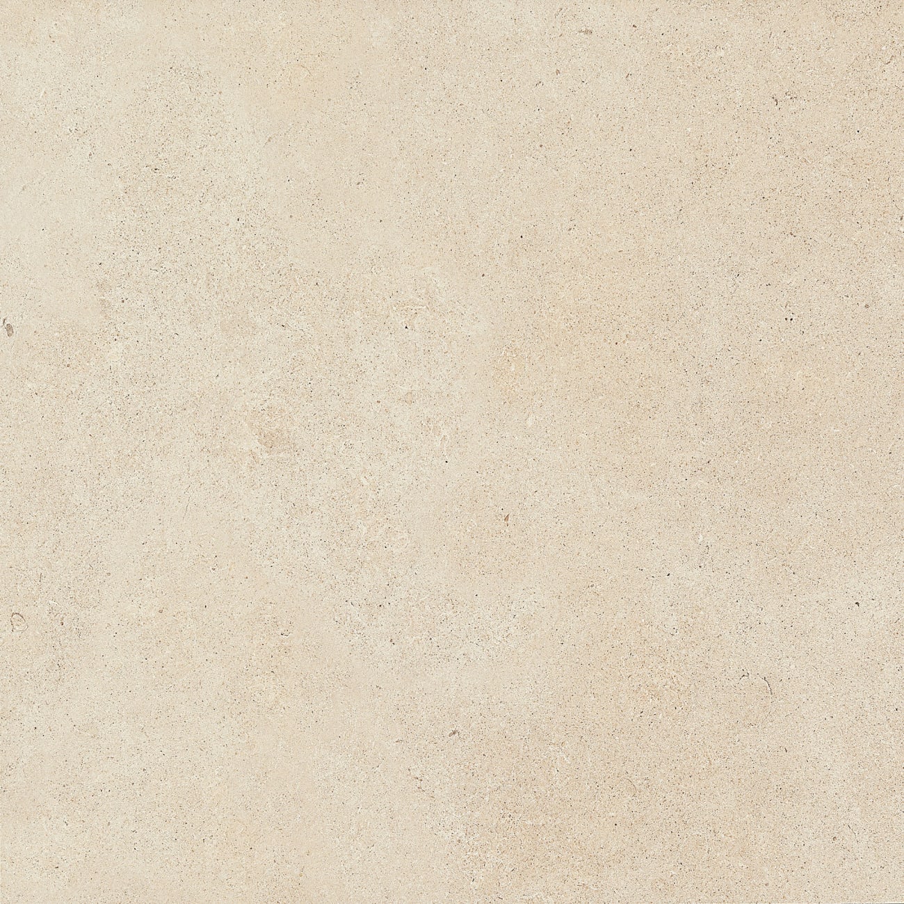 HM0812121PK - Daltile Stone Attaché - Haut Monde - Nobility White  - 12 x 12 - Matte