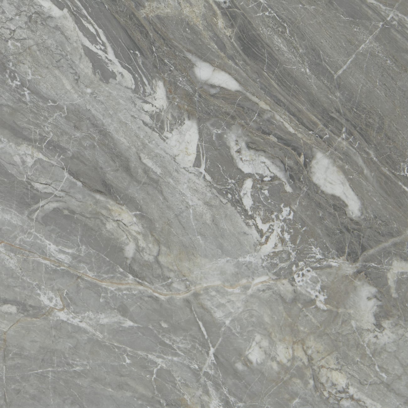 FM1324241LF - Daltile - Famed - Glamour - 24 x 24 - Polished
