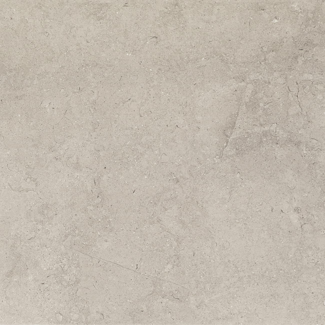 MF0424241PK - Marazzi - Modern Formation - Headland Fog - 24.00 in x 24.00 in