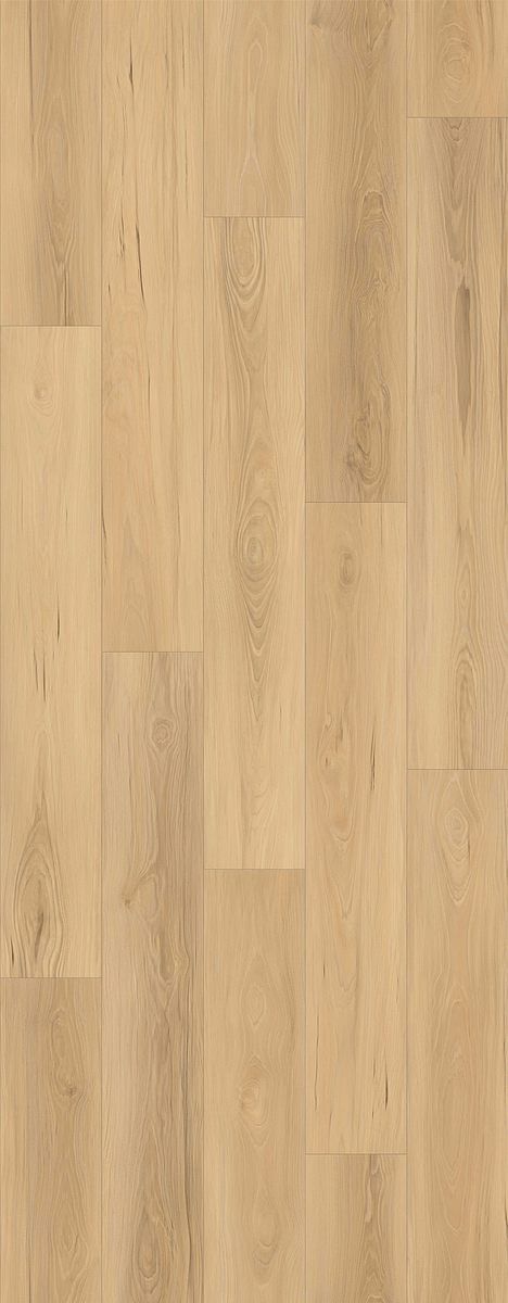 LI-HH04 - Lions Floor - Haven Heights - Oakview Place