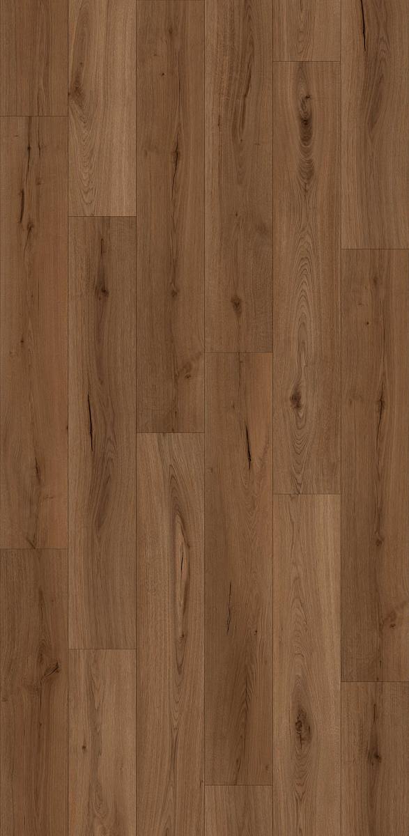 LI-HH09 - Lions Floor - Haven Heights - Larkspur Place