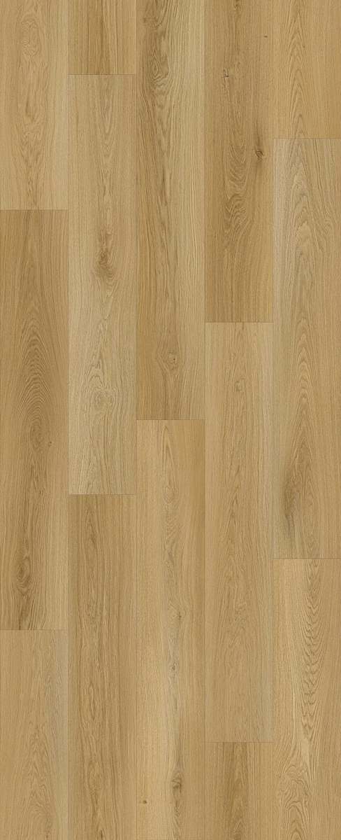 LI-HH05 - Lions Floor - Haven Heights - Elm Terrace