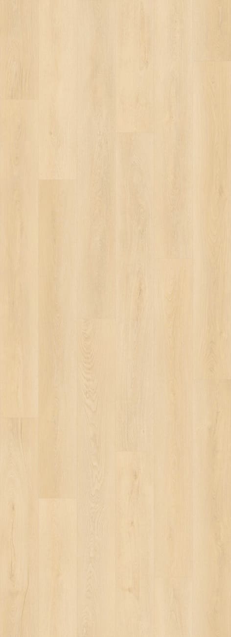 LI-BM01 - Lions Floor - BevelMark - Carver Line