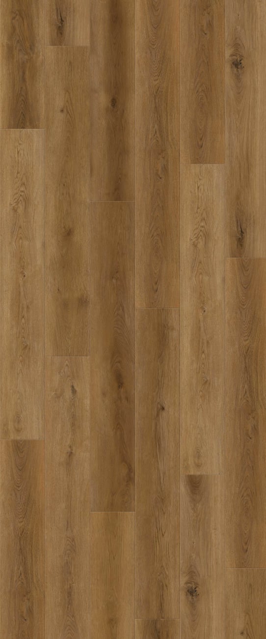 LI-FL09 - Lions Floor - FormaLay - Quantum Trace