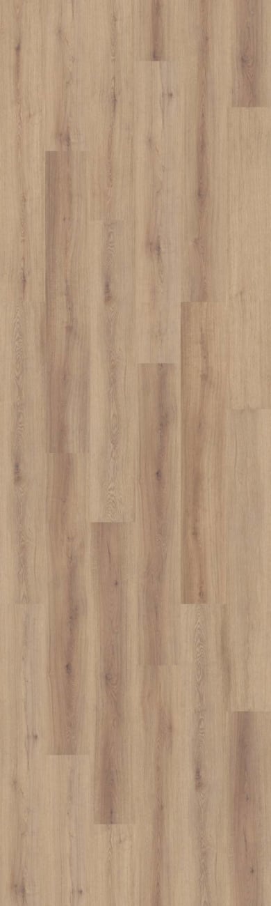 02154_3128V - Shaw Pet Perfect - Briard - Flax Oak